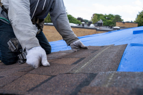 Roof Gutter Cleaning in Elkhorn, WI
